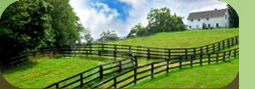 livestock